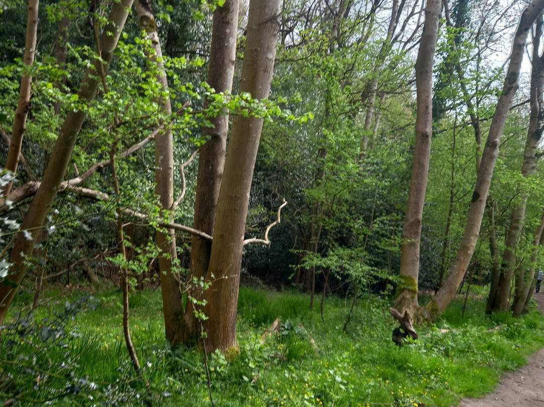 Cassiobury Park-沃特福德必去景点