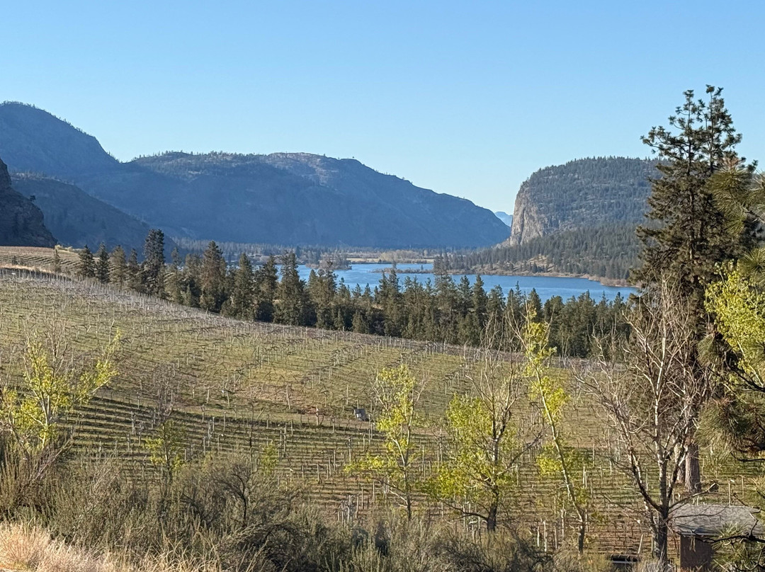 Bighorn Ridge Guest House主图