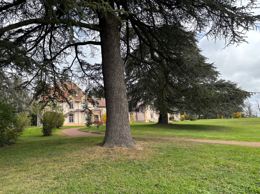 Domaine des Grands Cèdres主图