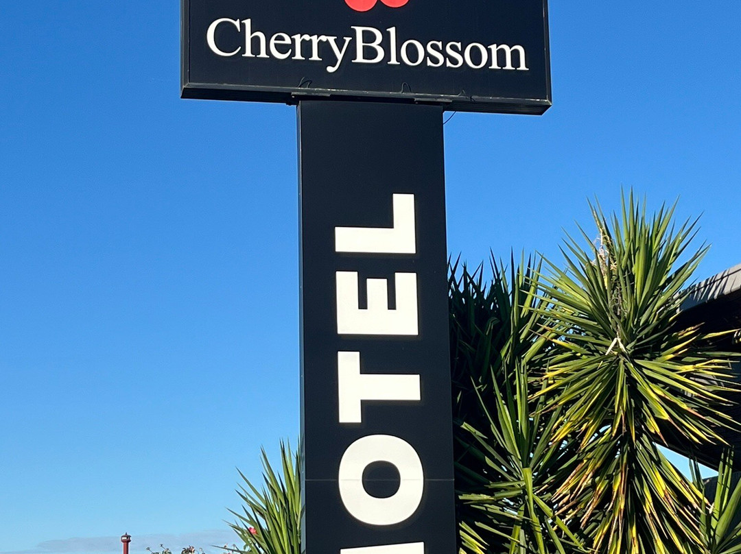 樱花盛开汽车旅馆主图