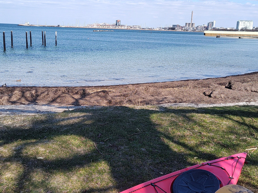 Kayakomat Malmö Limhamn-Limhamn必去景点