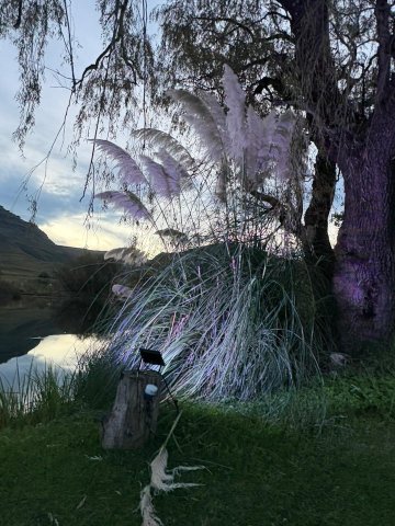 Premier Resort Sani Pass-旅行者