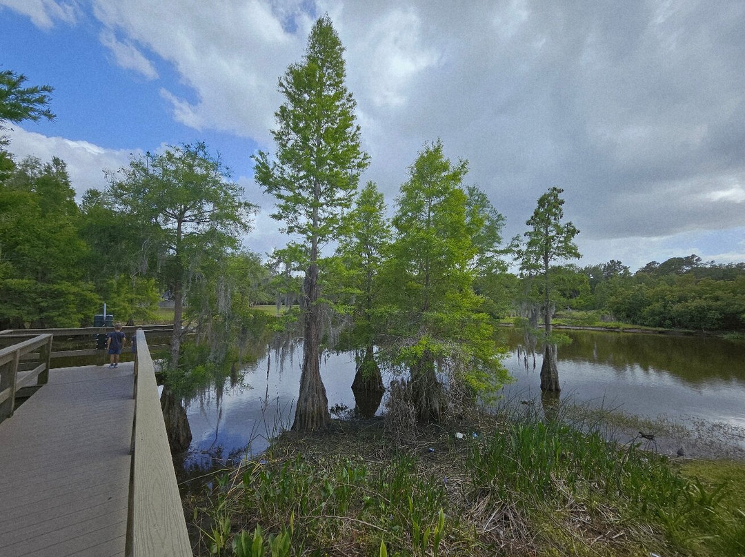 South Lake Howard Nature Park-温特黑文必去景点