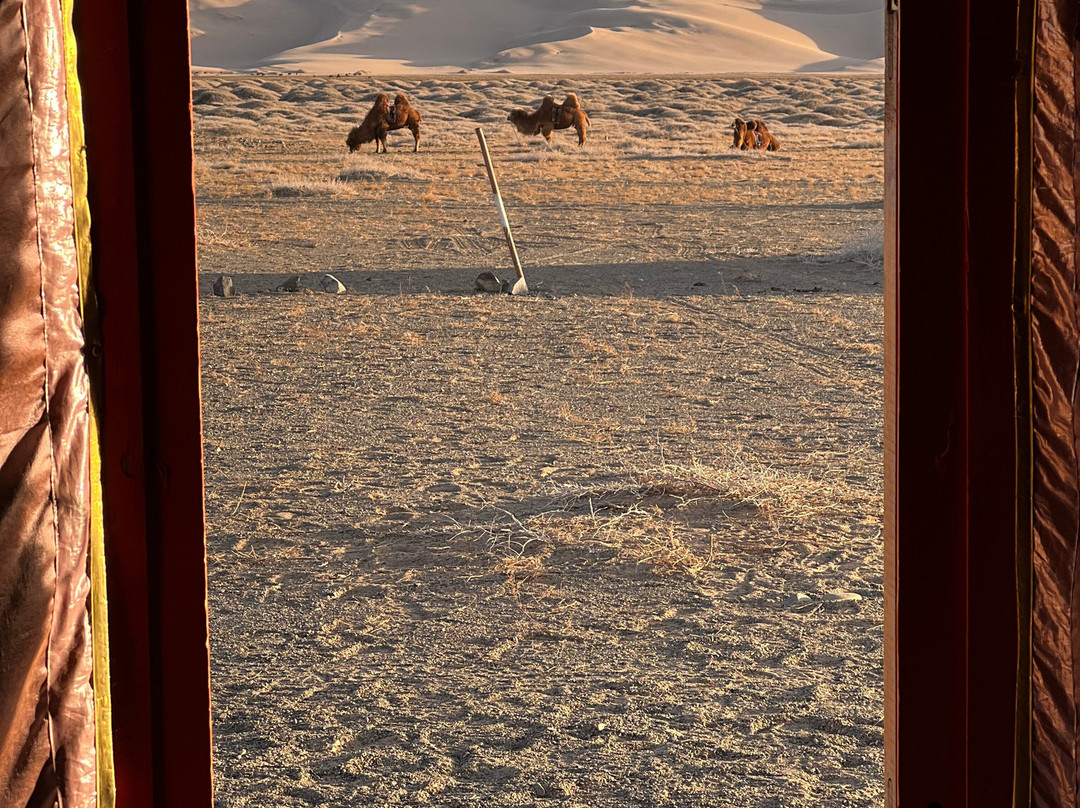 Nur Altai Tour-乌兰巴托必去景点
