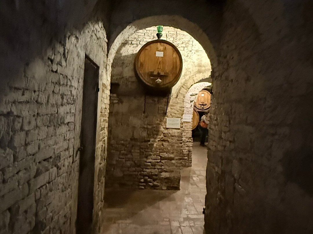 Azienda Agricola Ercolani-蒙特普尔恰诺必去景点