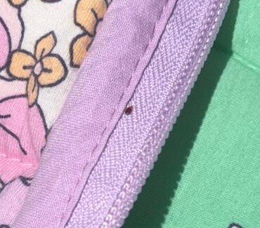 布里斯班北部舒适酒店-旅行者