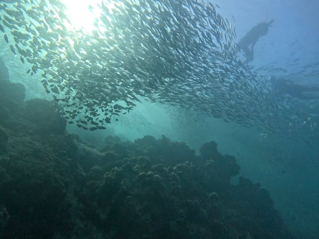Panagsama Beach-莫阿尔博阿尔必去景点