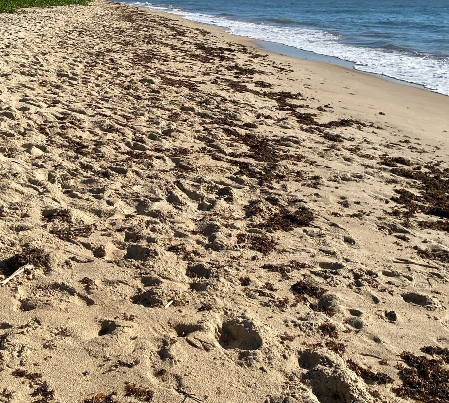 卡兰波拉酒店主图