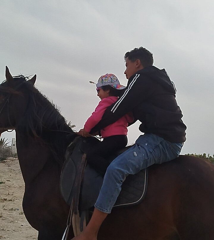 Ennakhil de tourisme Djerba-米栋必去景点