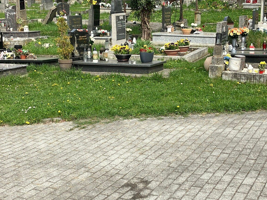 Friedhof von Devin-Devin必去景点