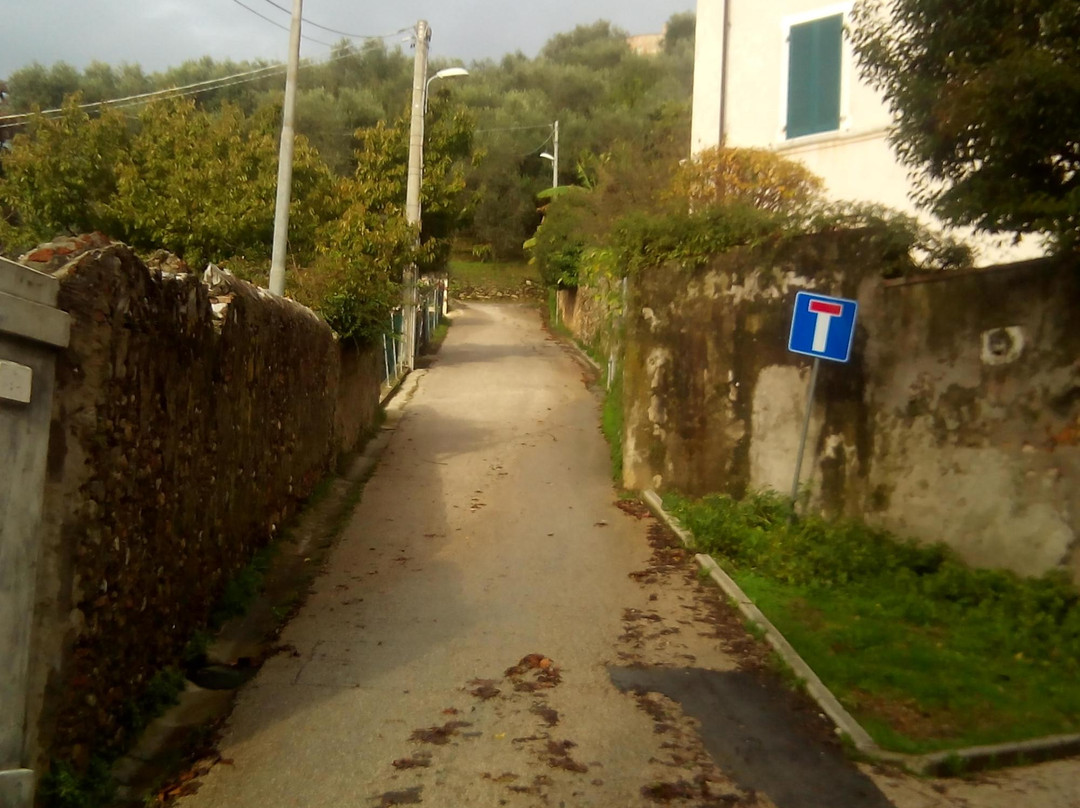 Duomo di Pietrasanta-彼得拉桑塔必去景点