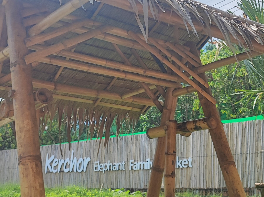 Kerchor Elephant Family Phuket-卡图必去景点