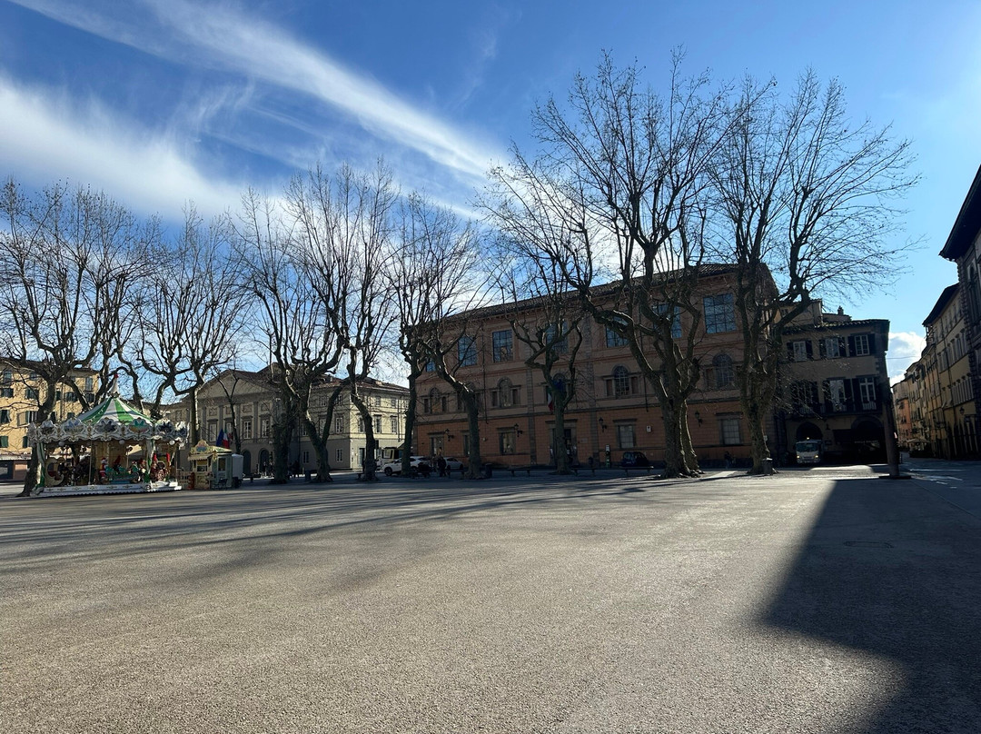 Piazza Napoleone-卢卡必去景点