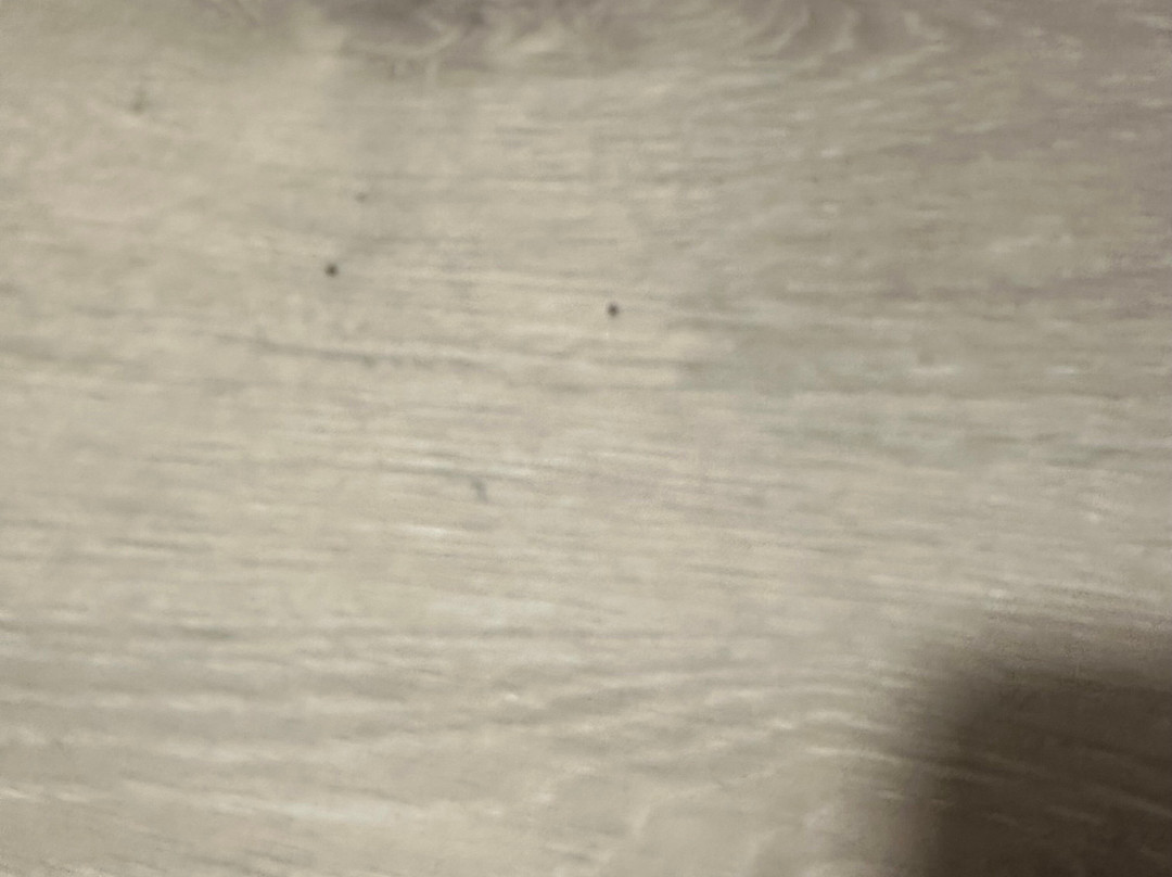 舒适套房酒店-近主图