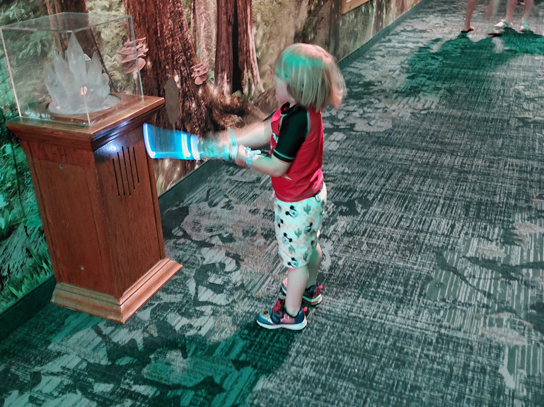 Great Wolf Lodge Williamsburg-威廉斯堡必去景点