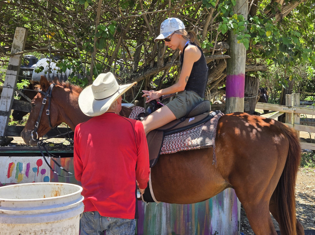 Equus Rides Horseback Riding St. Croix-Frederiksted必去景点