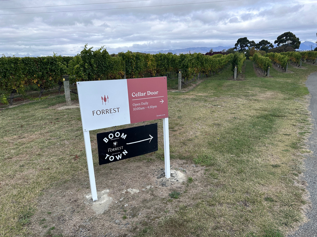 Forrest Wines Cellar Door-伦威克必去景点
