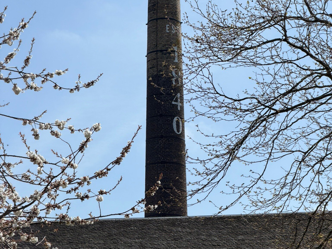 Rosebank Distillery-福尔柯克必去景点