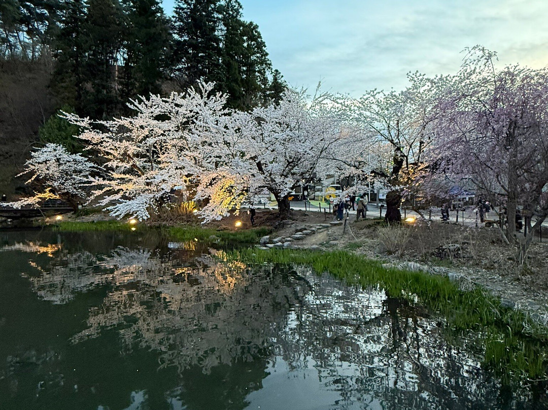 Garyu Park-须坂市必去景点