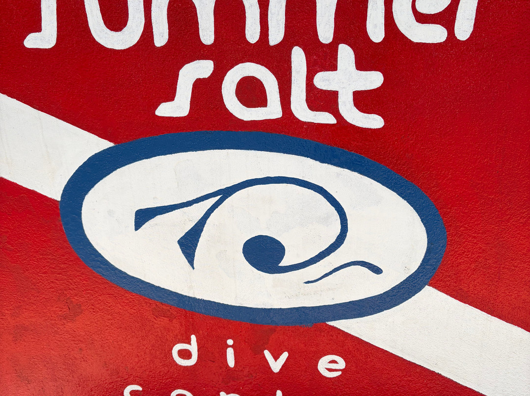 SCUBA Diving at Summer Salt Dive Center-Playas del Coco必去景点