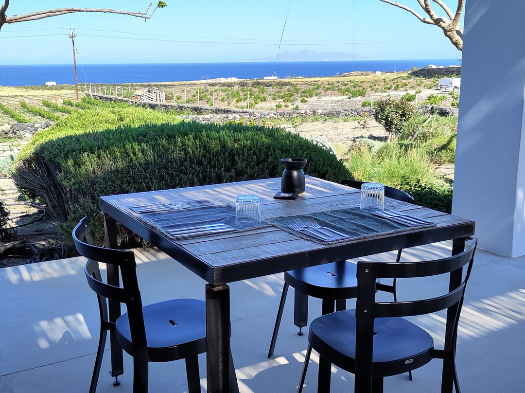 Vassaltis Vineyards-Vourvoulos必去景点