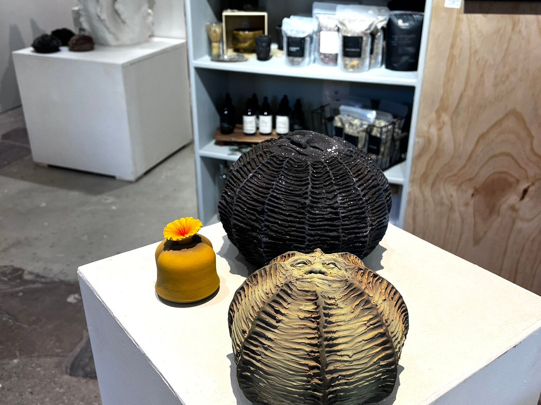 Desert Basin Gallery llc-Pioneertown必去景点