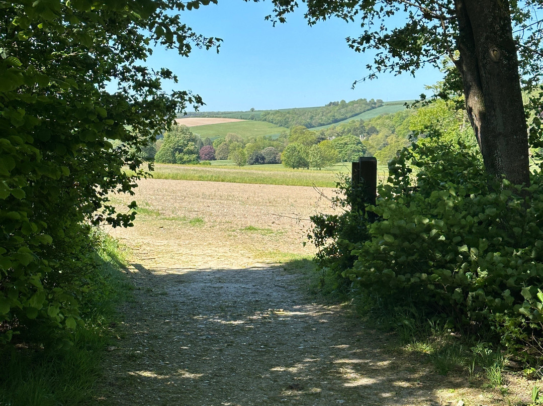 Weald & Downland Living Museum-Singleton必去景点