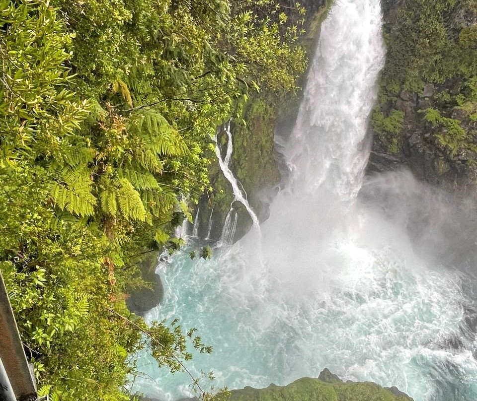 Huilo Huilo Reserva Biológica-Los Rios Region必去景点
