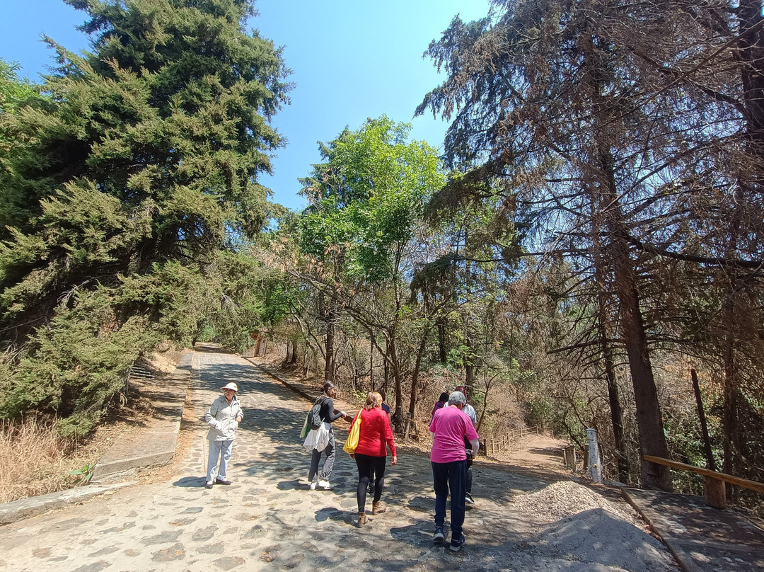 Nepopualco Parque de los Venados-Cuautla必去景点