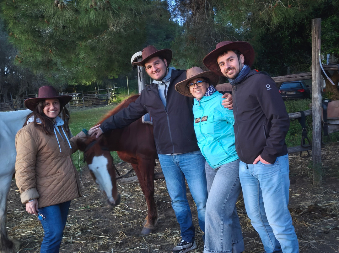 Family Horses 373-5361953-Marina di Ginosa必去景点