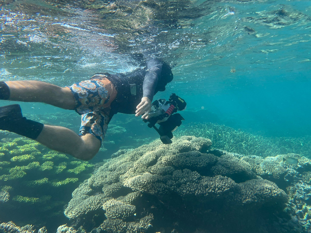 Ningaloo Reef Dive & Snorkel-珊瑚湾必去景点