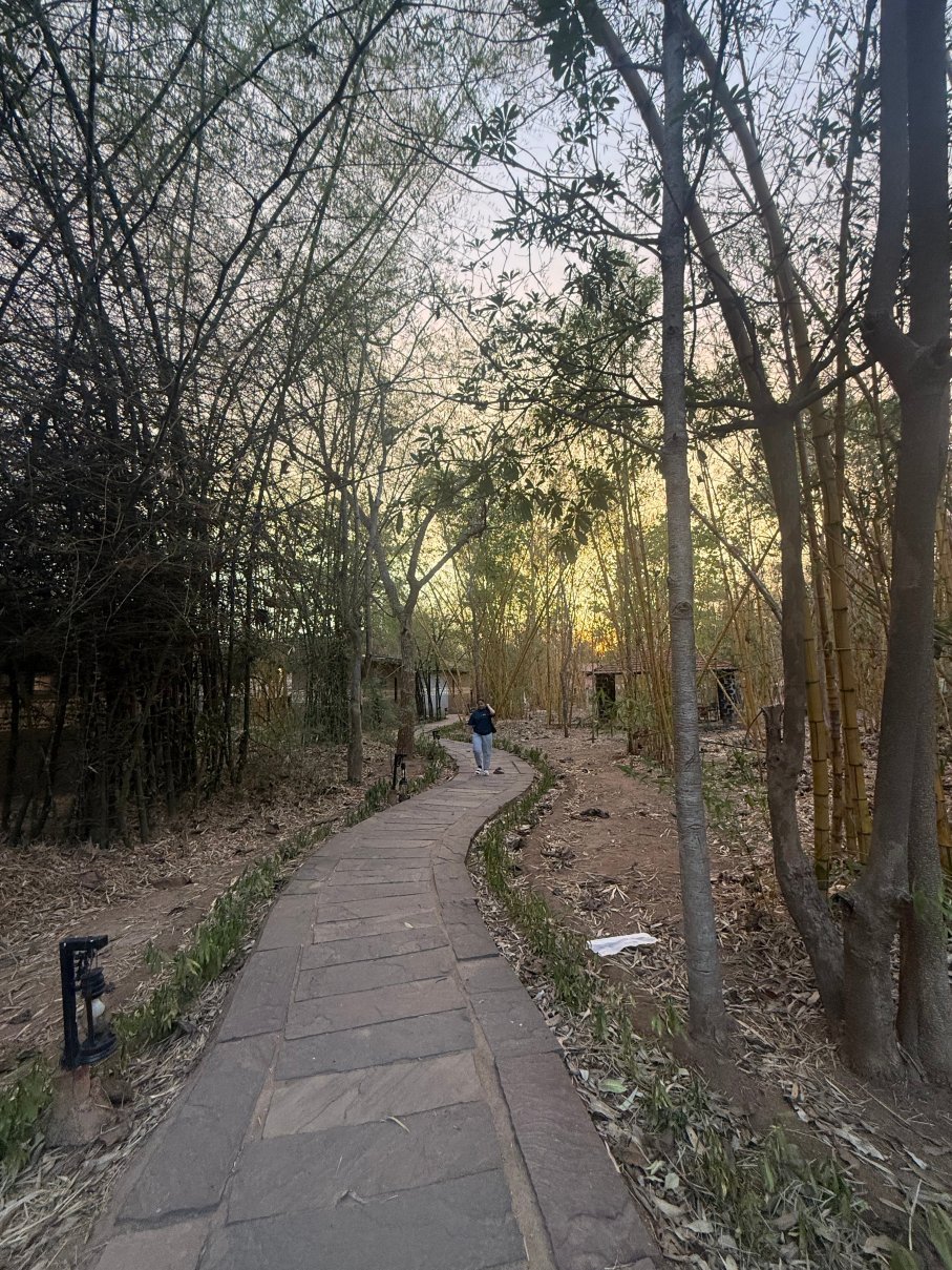 阿兰雅克度假村-旅行者