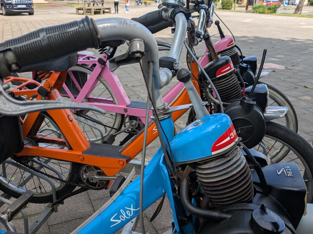 Jvds - J'veux Du Solex-Pontenx-les-Forges必去景点
