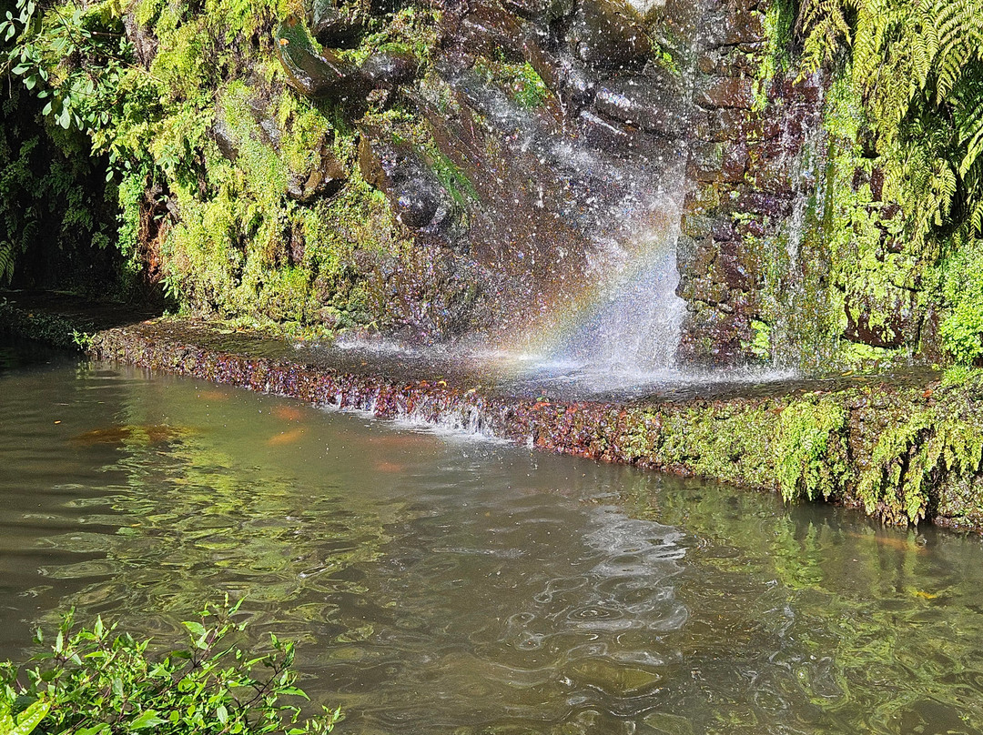 Monte Palace Madeira-沙尔必去景点