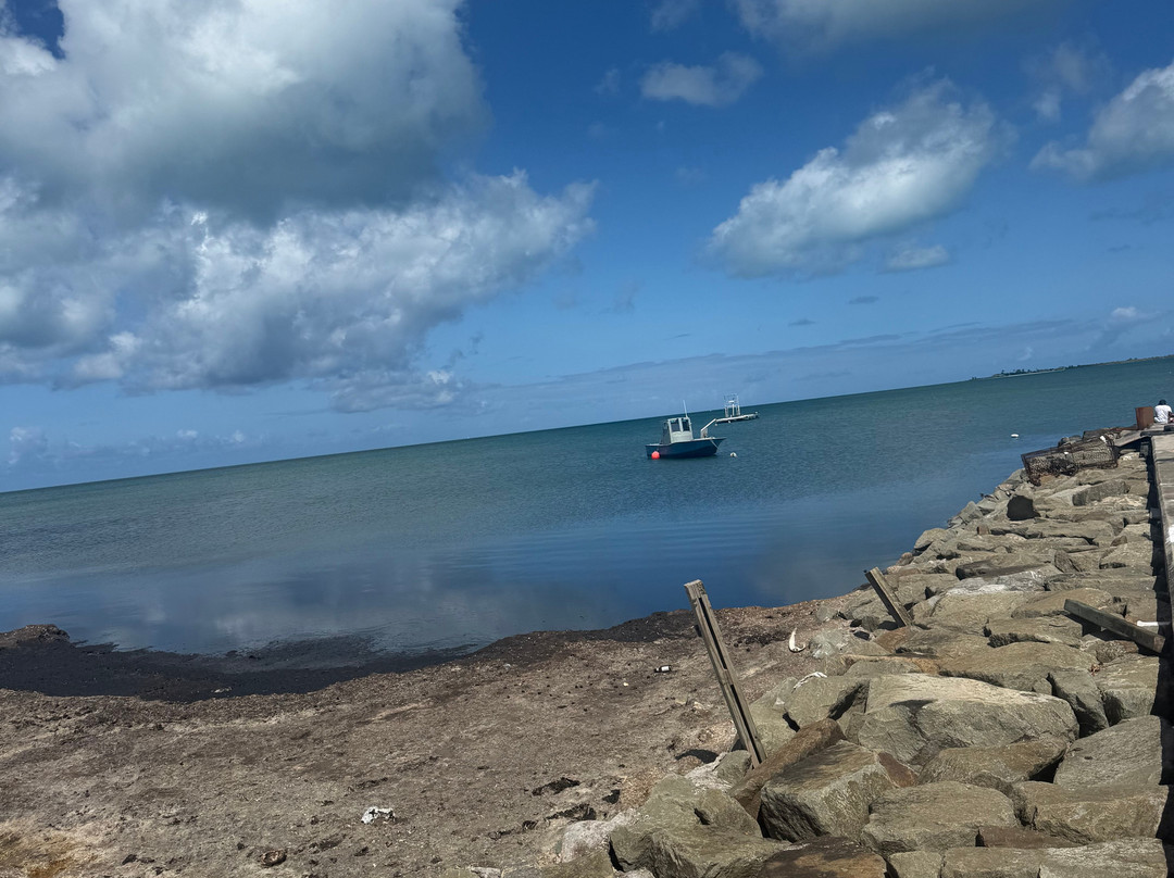 Hillside Tours Barbuda-Codrington必去景点