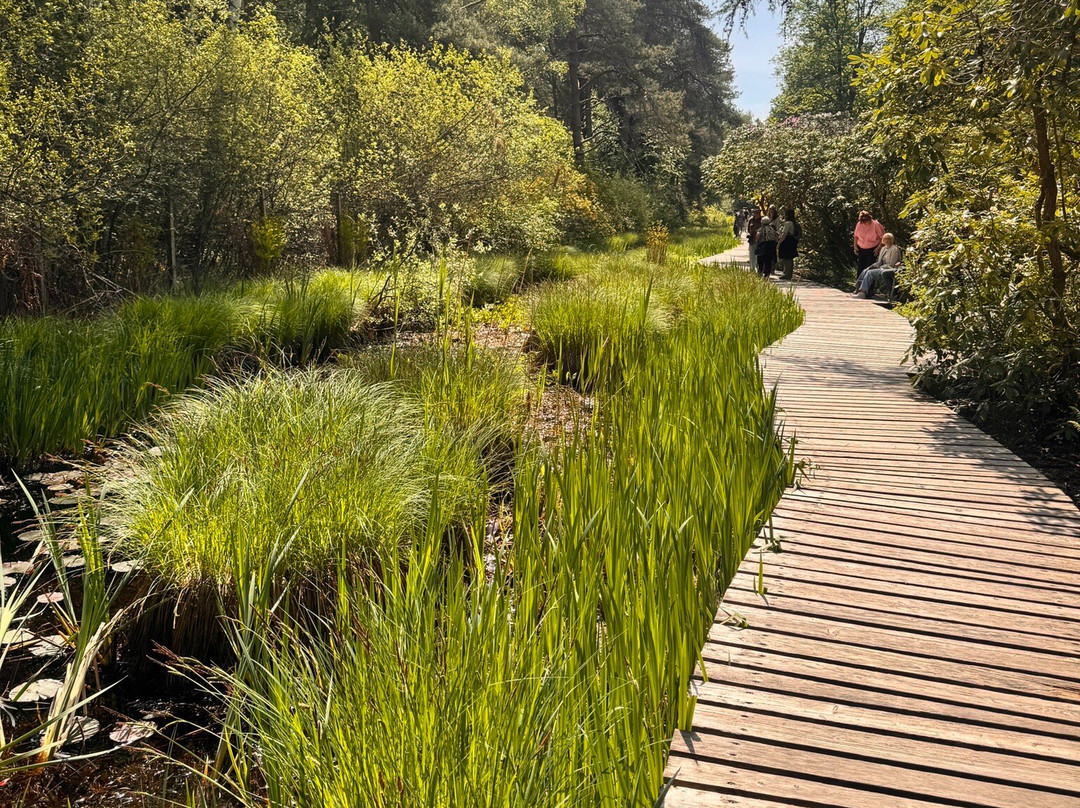 Park Seleger Moor-Rifferswil必去景点