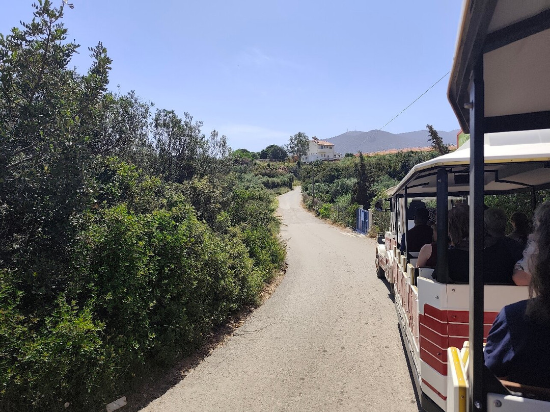 Train Tour Hersonissos-赫索尼索斯必去景点