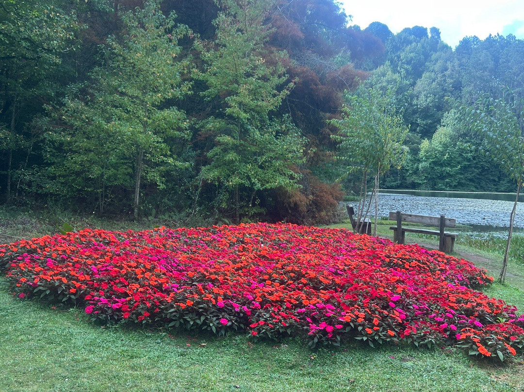 Parque Bambui-坎普斯－杜若尔当必去景点