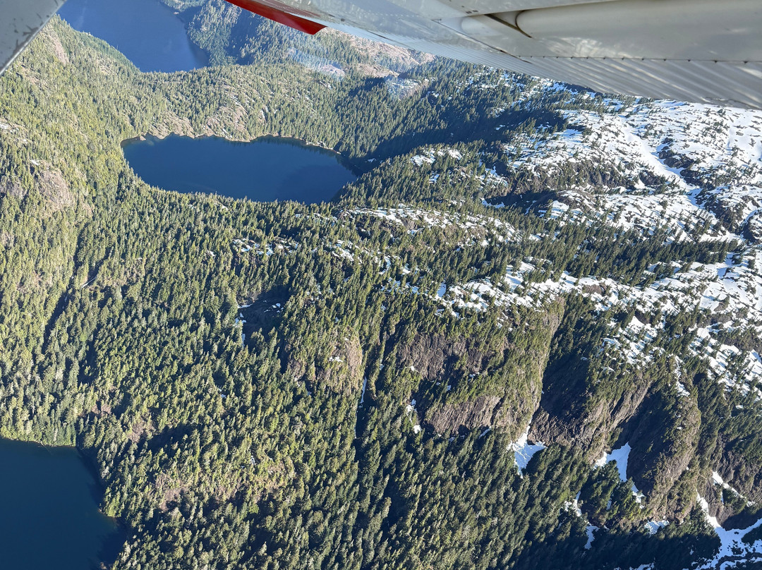 Skydive Vancouver Island-Nanoose Bay必去景点