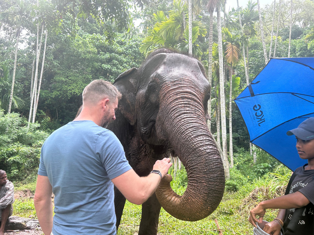 Elephant Freedom Project-凯格勒 必去景点