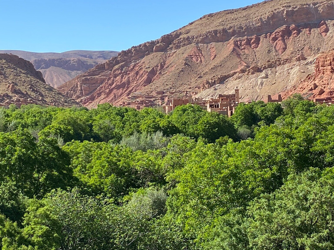 Caravane Renard du Desert-迈哈米德必去景点