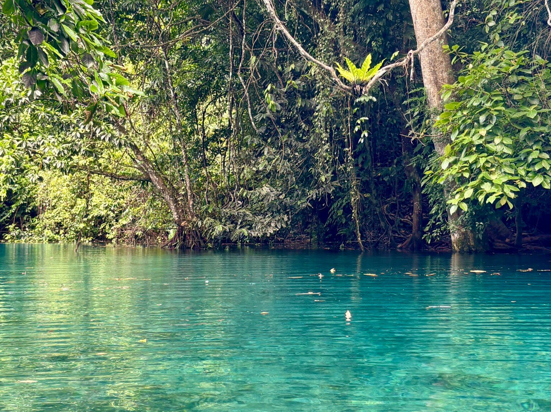 Riri Blue Hole-卢甘维尔必去景点