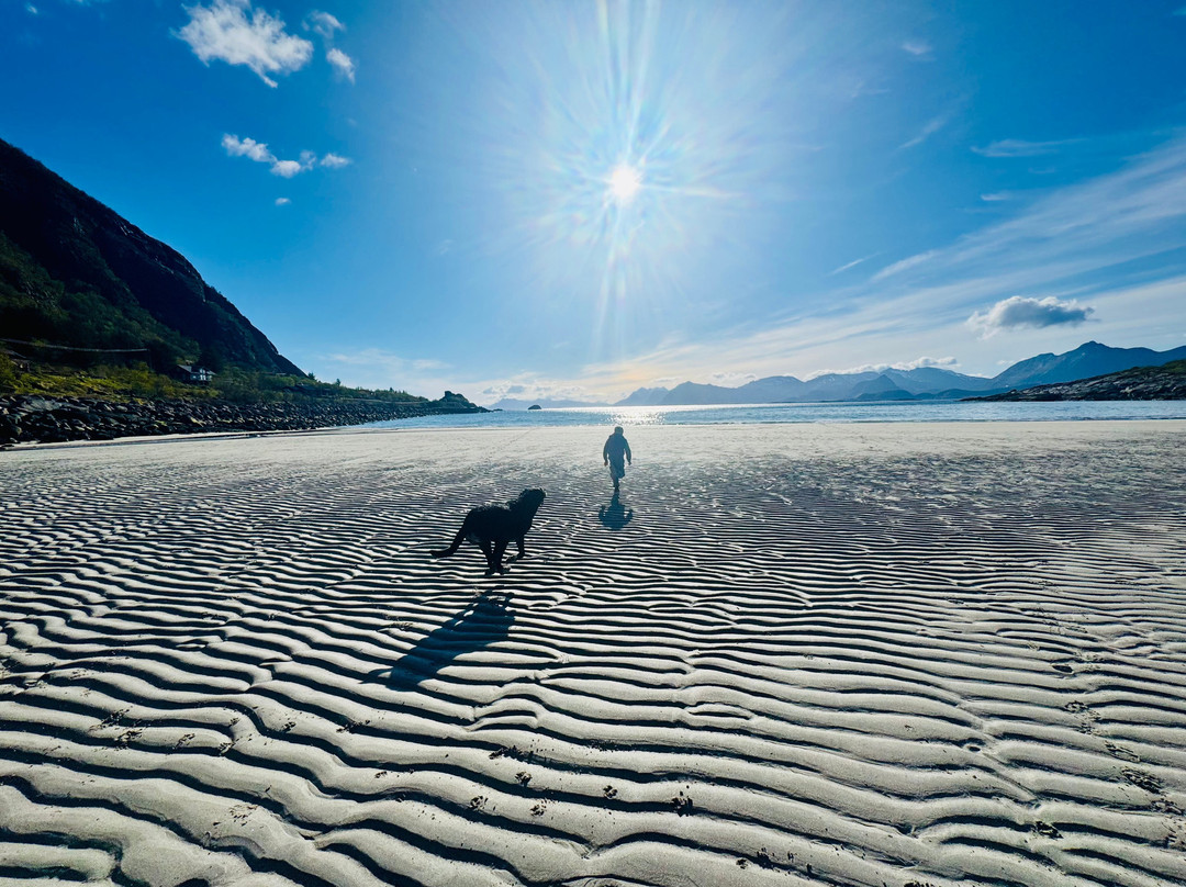 Rørvikstranda Beach-Kabelvag必去景点