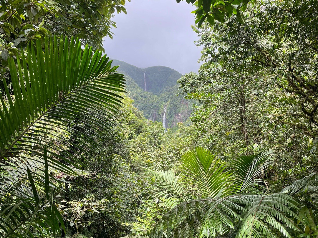 Carbet Falls (Les Chutes du Carbet)-Parc National必去景点