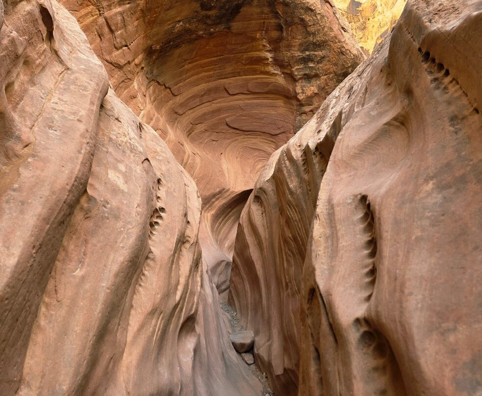 Little Wild Horse and Bell Canyon Trail-格林河必去景点