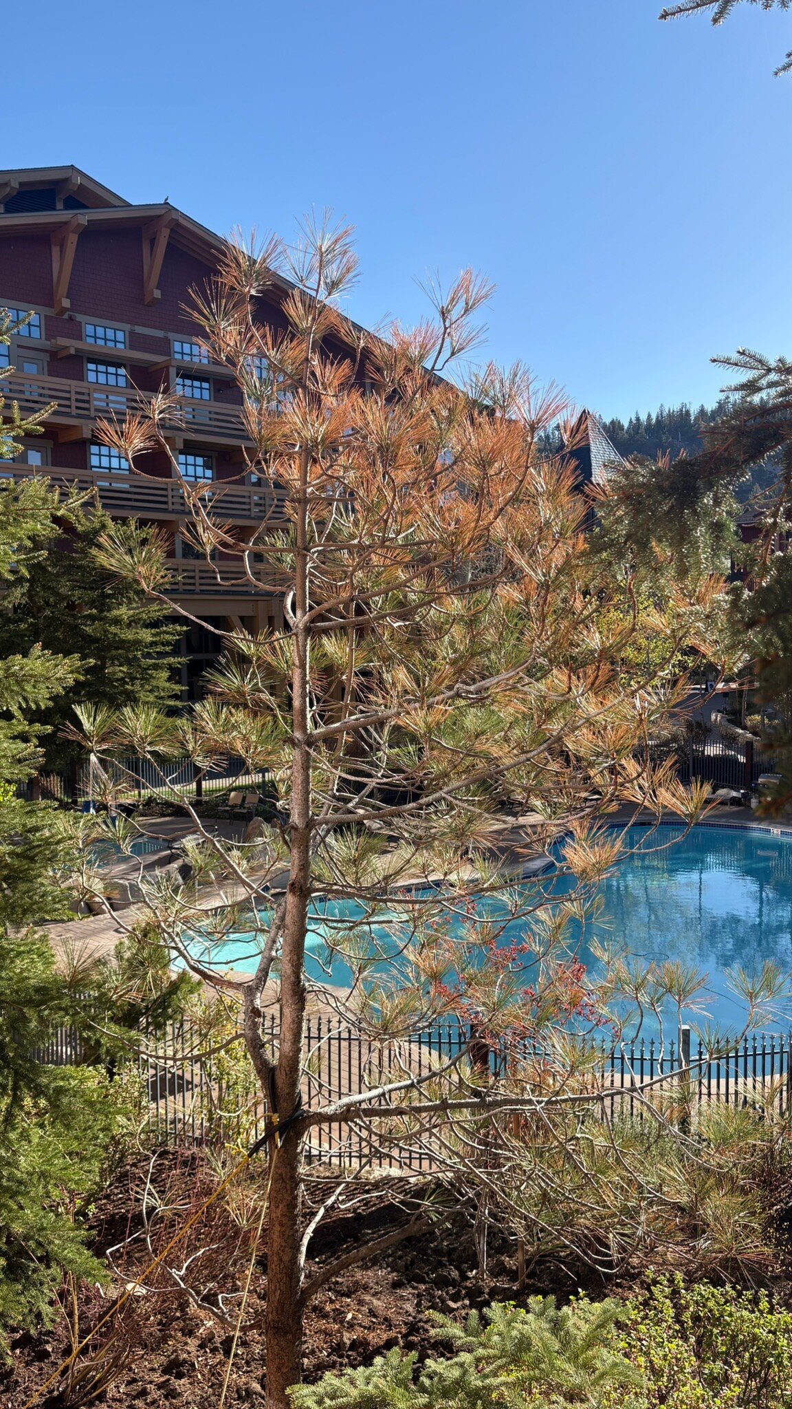 村庄小屋酒店-旅行者