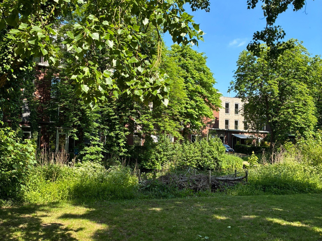 Torckpark Wageningen-瓦赫宁恩必去景点