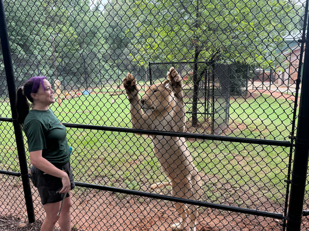 Tiger Creek Animal Sanctuary-泰勒必去景点