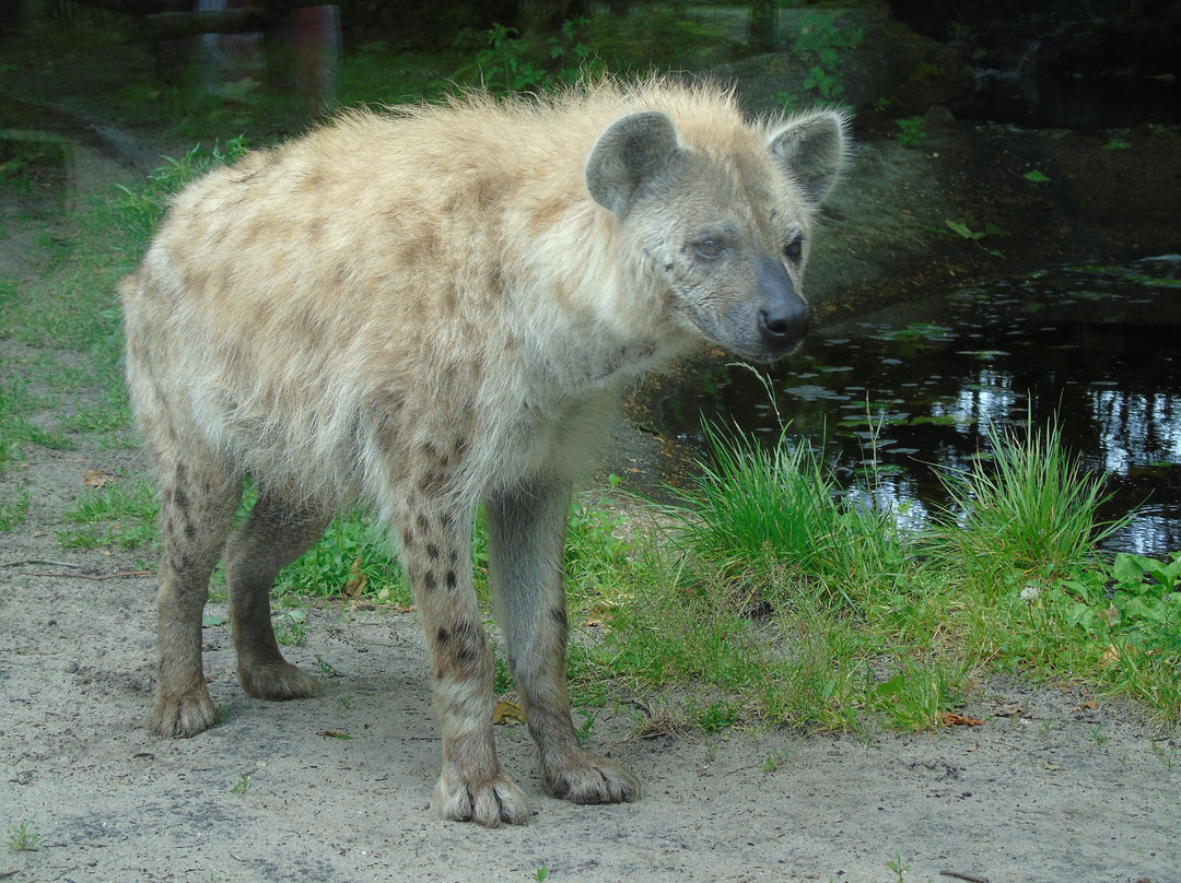 Zoo Bassin d'Arcachon-拉泰斯特德比克必去景点