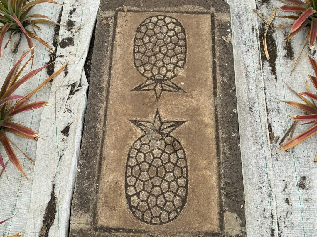 Arruda Pineapple Plantation-蓬塔德尔加达必去景点